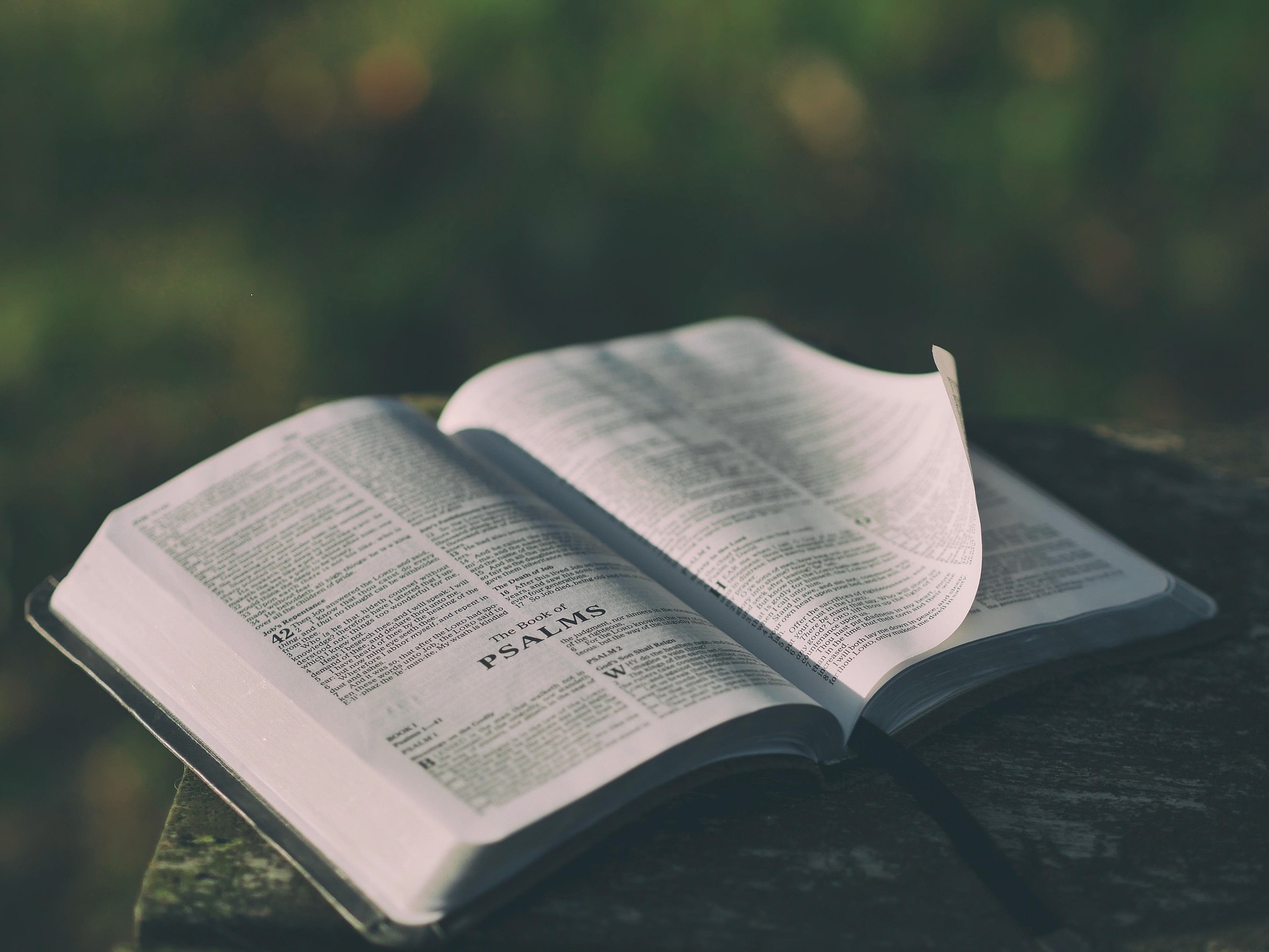 Mission-Driven Ministry